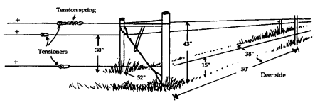 Offset or double electric fence